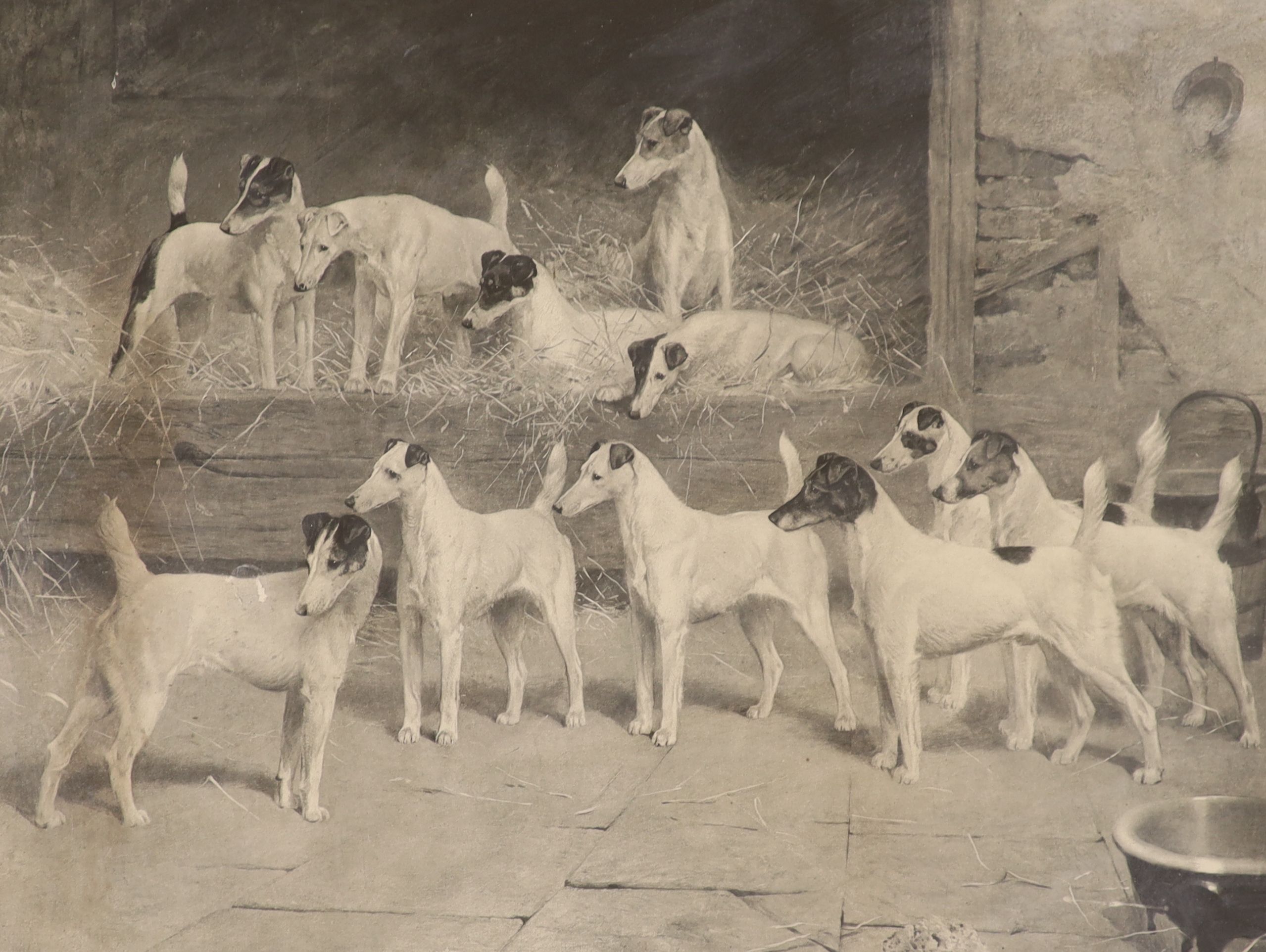 Arthur Wardle, photo-lithograph, Totteridge Eleven; foxhounds signed in pencil, 42 x 52cm